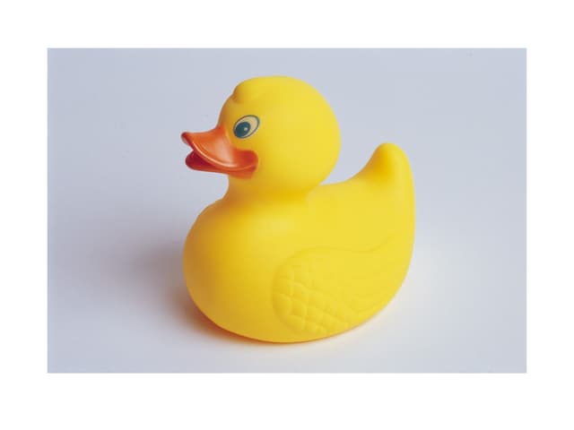 กุหลาบสวย