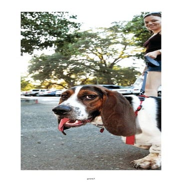 Portfolio Spring 2009