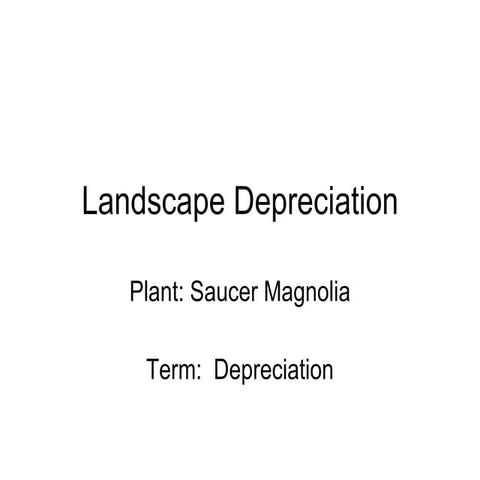 1 12 Landscape Equipment Depreciation