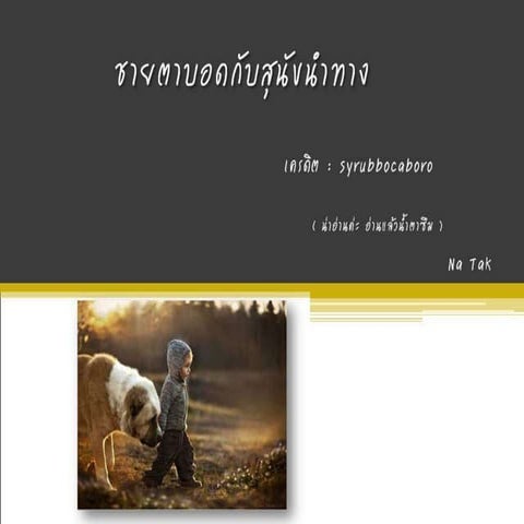 ชายตาบอดกับสุนัขนำทาง