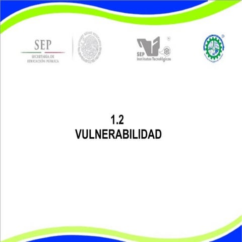 1.2 Vulnerabilidad
