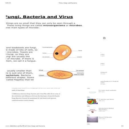 1.8 1.10 virus, fungi, and bacteria | PDF