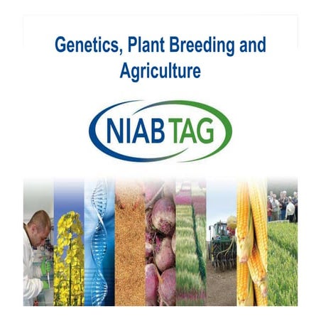 B4FA 2012 Tanzania: Genetics, plant breeding and agriculture - Tina Barsby