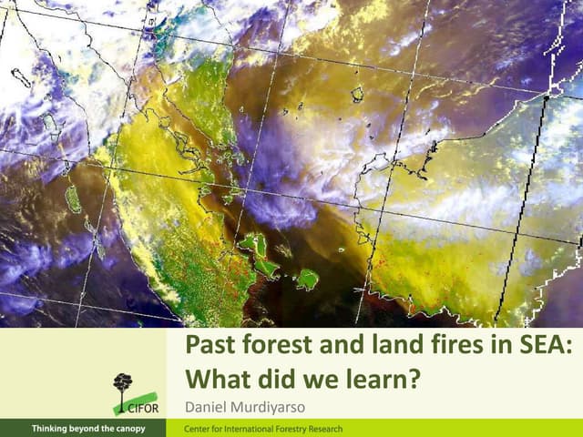 Past forest and land fires in SEA: What did we learn?