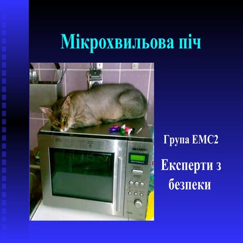 презентація представника №1