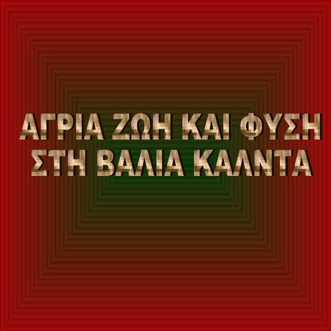 ΒΑΛΙΑ ΚΑΛΝΤΑ