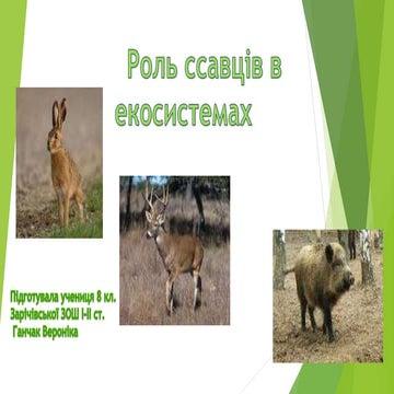 презентация1