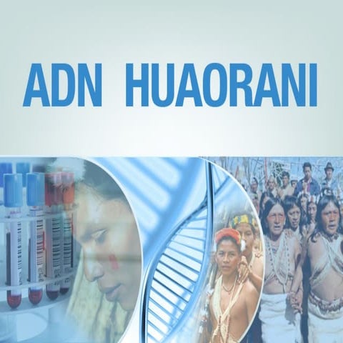 ADN Huaorani