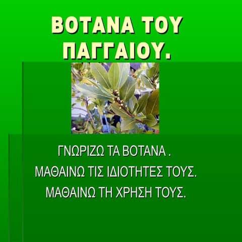 βοτανα του παγγαιου1