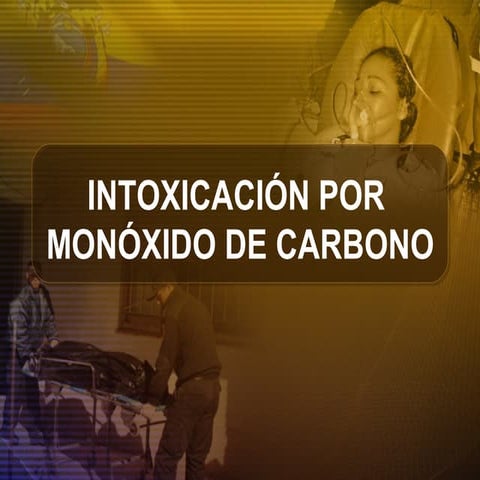 Enlace Ciudadano Nro 206 tema: Constitución de los estados unidos | PPT