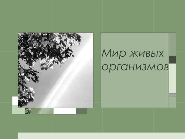 Мир живых организмов