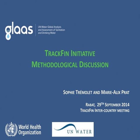 TrackFin methodological discussions