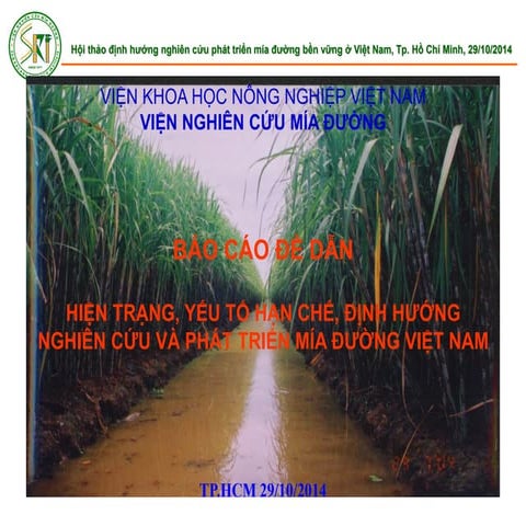 Hiện trạng, Yếu tố hạn chế, Định hướng nghiên cứu và phát triển Mía đường Việt Nam