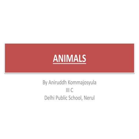 1.animals