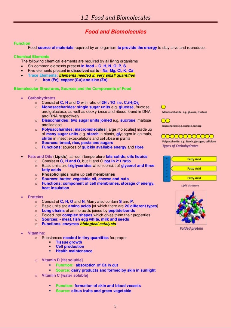 1.2 food and biomolecules