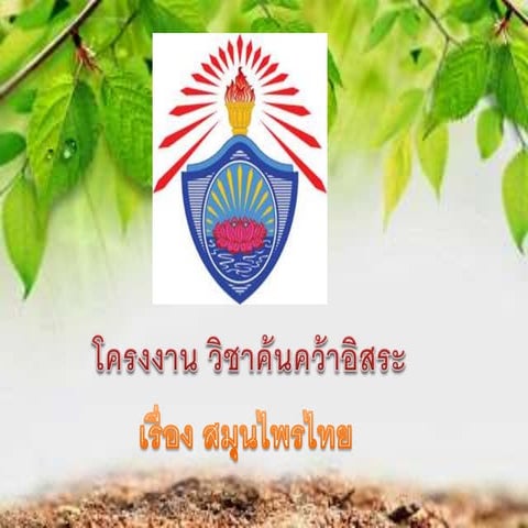 งานนำเสนอ1