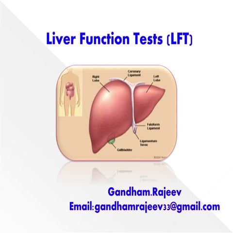 LIVER FUNCTION TESTS (LFT)