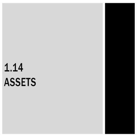 1.14 Assets | PPTX