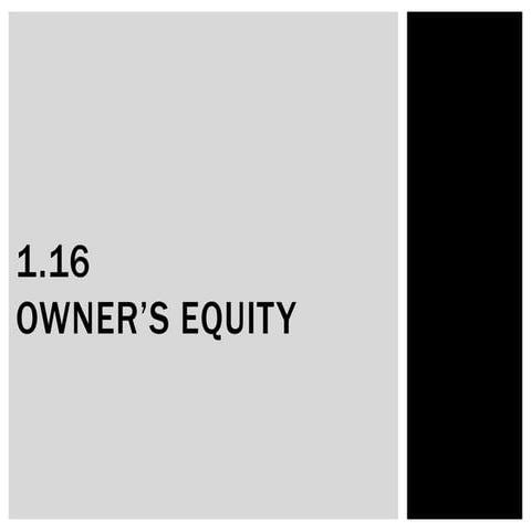1.16 Owner's Equity