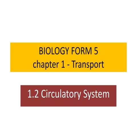 BIOLOGY FORM 5 CHAPTER 1: 1.2  CIRCULATORY SYSTEM