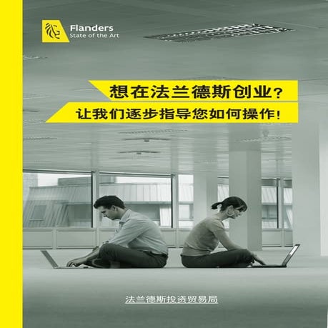 法兰德斯投资指南 中文 