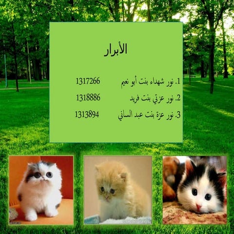 إن وأخواتها