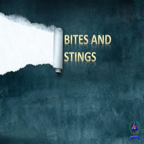 1.3.4 bites & stings
