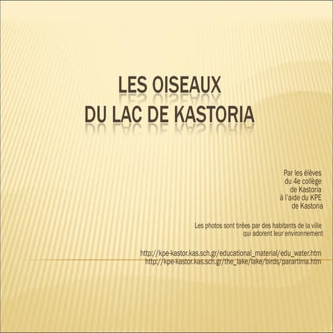 les oiseaux du lac de kastoria2 - Comenius 2013-2015