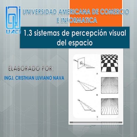 Sistemas de percepción visual del espacio