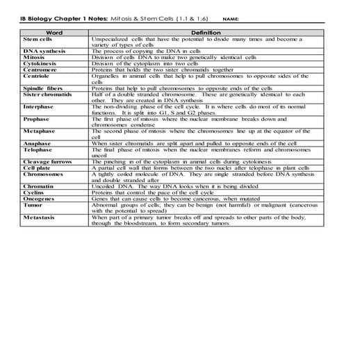 IB Cell Division Review (1.6) | DOCX