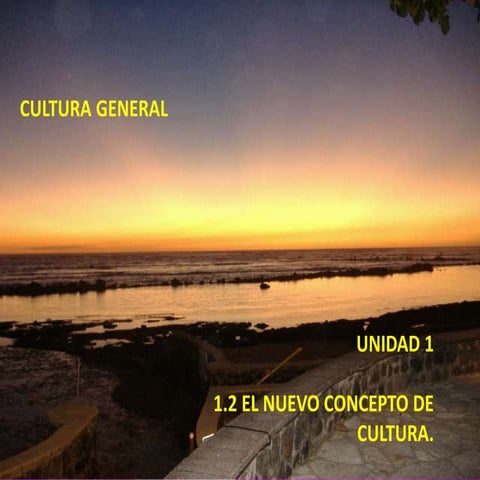 1.2 nuevo concepto de cultura