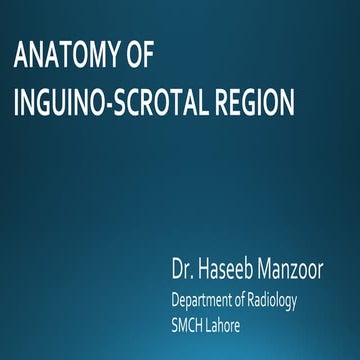 ANATOMY OF INGUINO-SCROTAL REGION