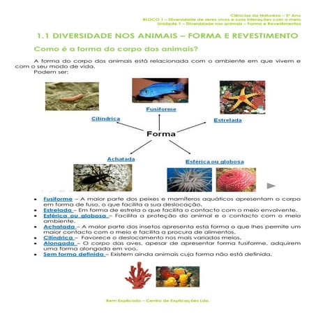Formas dos animais | PPTX