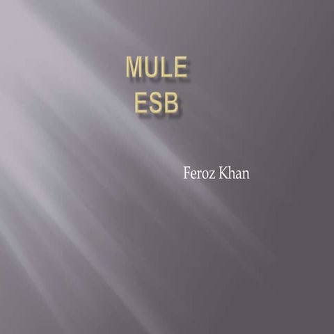Mule Esb Basics