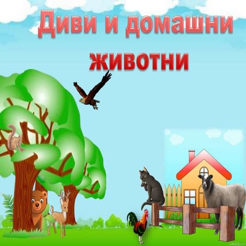 Диви и домашни животни 1.клас нов