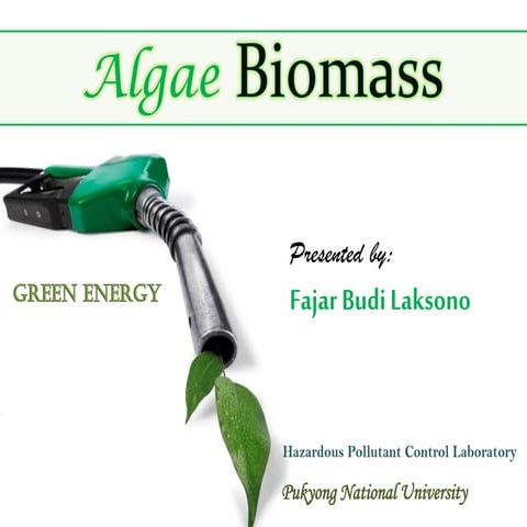 Algae Biomass