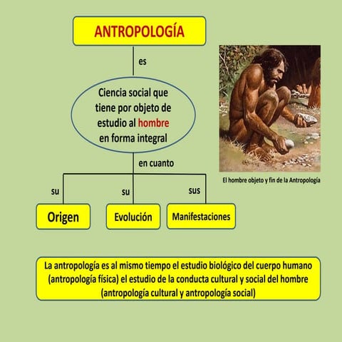 1. antropología