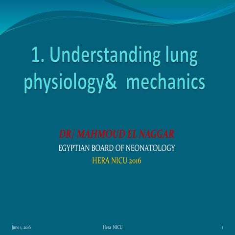 1. lung mechanics