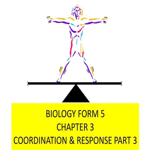 COORDINATION & RESPONSE PART 3 - HOMEOSTATIS - URINE FORMATION