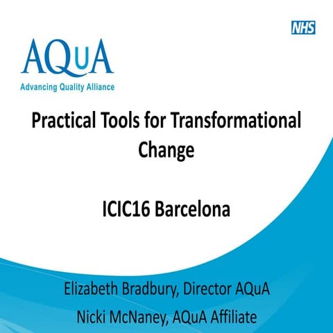1.6   practical tools for transformational change - bradbury and mc naney (453)