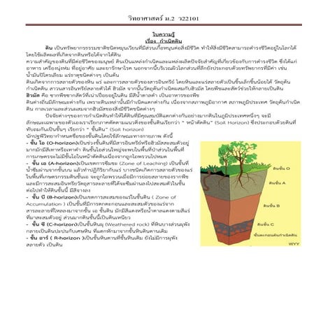 ใบกำเนิดดิน1