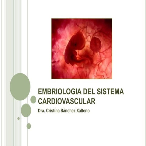 1. 1 embriologia cardiaca