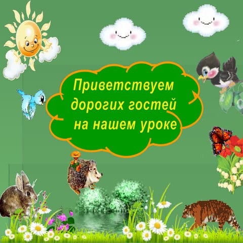 дикие и домашние животные 1 класс