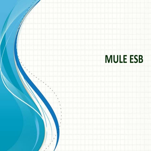 What is Mule ESB 