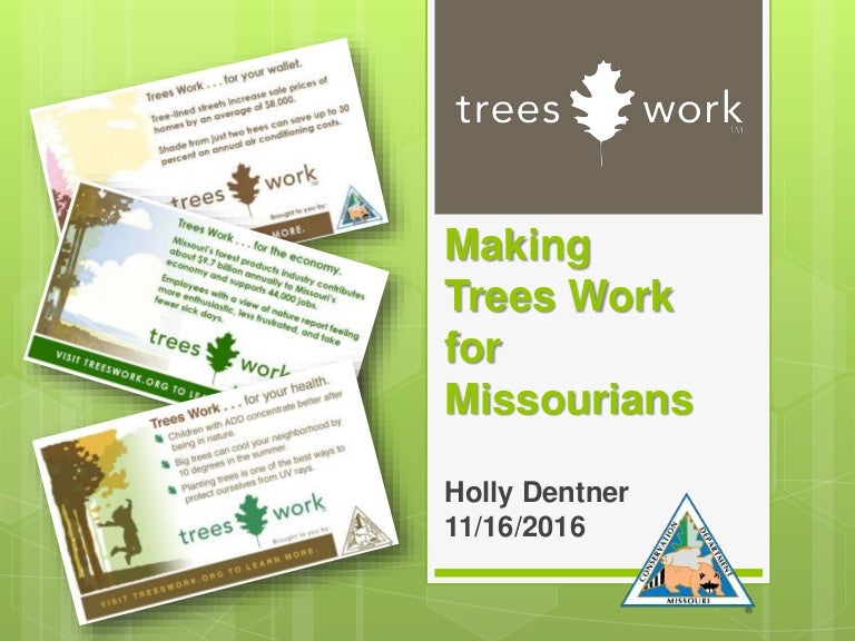 Making 'Trees Work' for Missourians