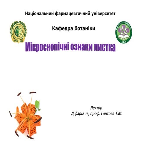1 листок особл будови анат