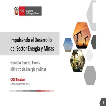 Gonzalo Tamayo, Ministro de Energía y Minas - CADE Ejecutivos 2016