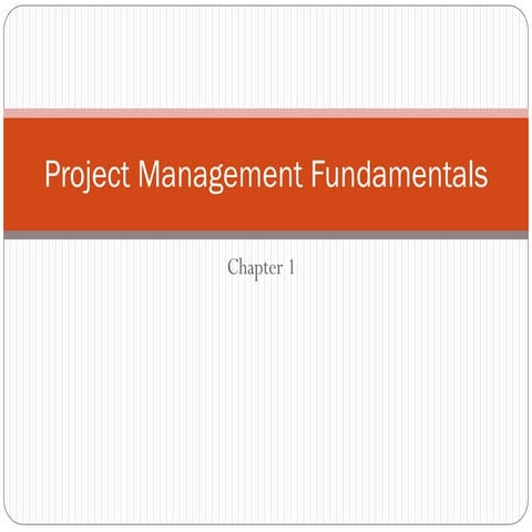 project management fundamentals Chapter 1