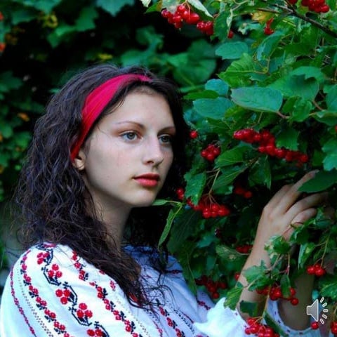Легенда про калину