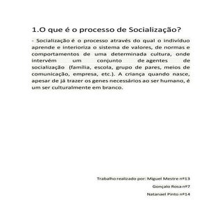 Processo de Socialização